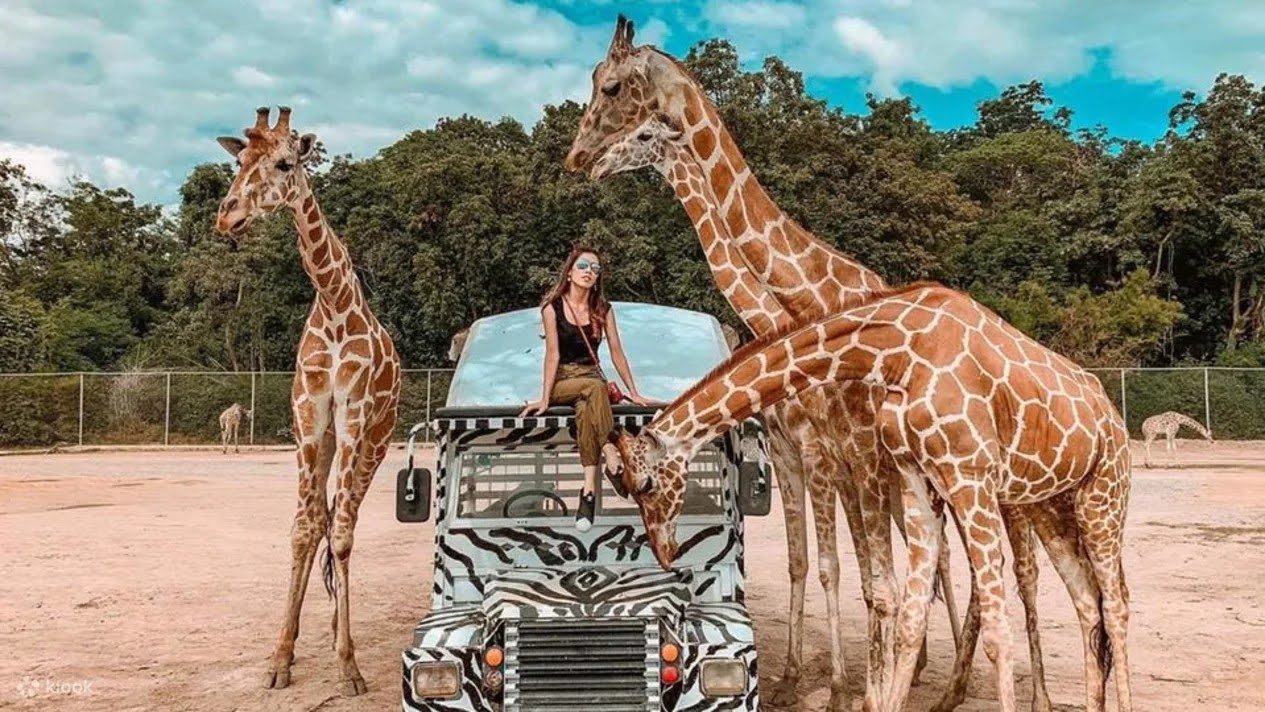 🦁🏰 เที่ยวซาฟารีปาร์ค + เมืองมัลลิกา ร.ศ.124 – ทริปสนุกทั้งครอบครัวในกาญจนบุรี