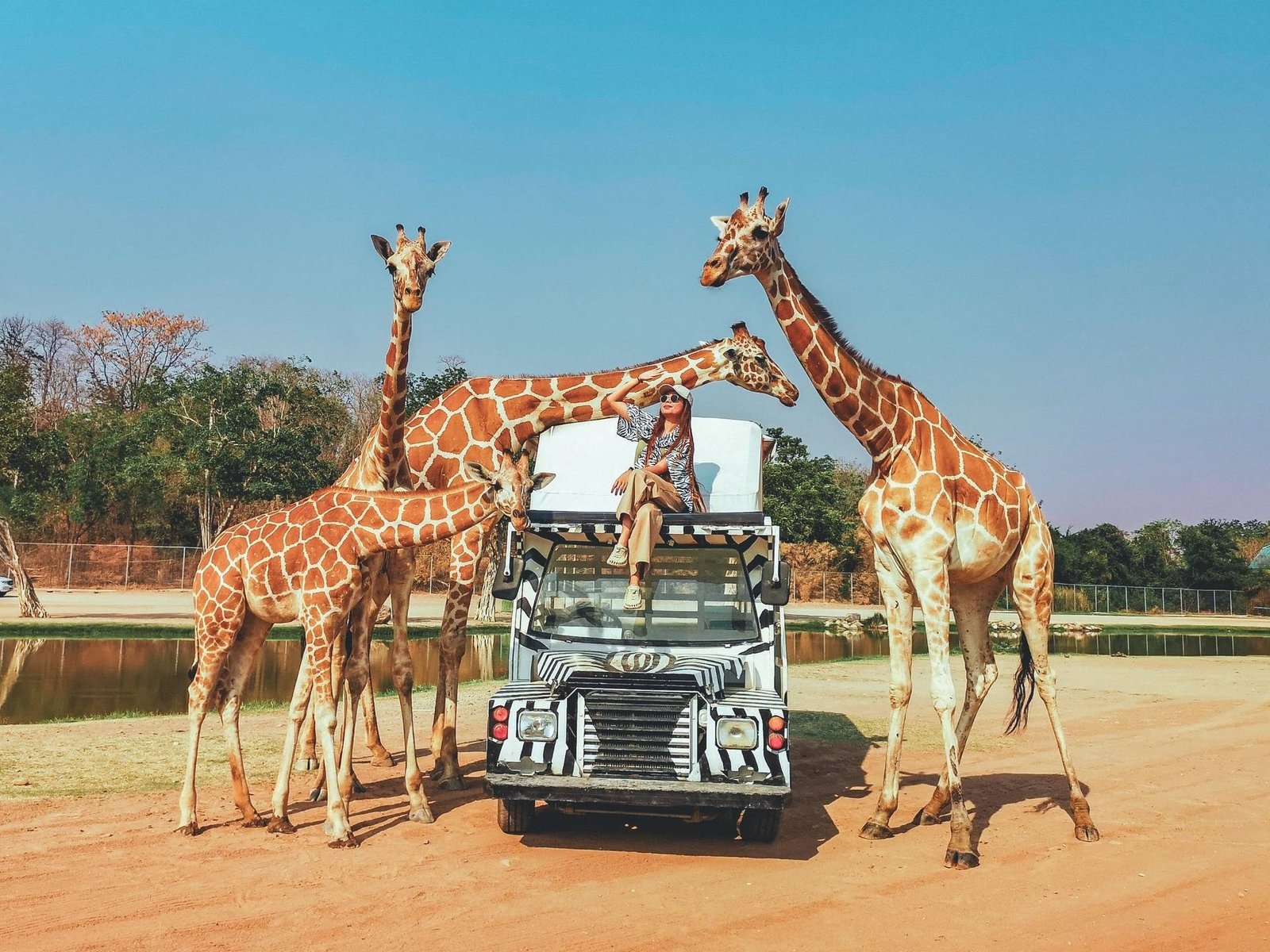 🦒🚗 One Day Trip Kanchanaburi: Safari Park Kanchanaburi with a Private Car & Driver